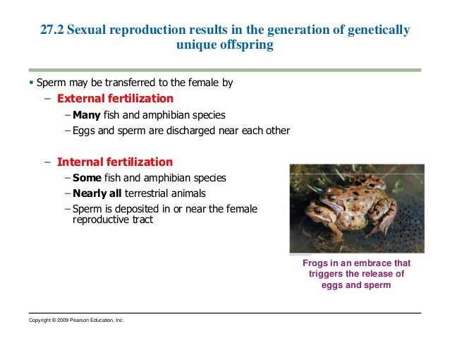 Egg and sperm compatability Best fucking compilation